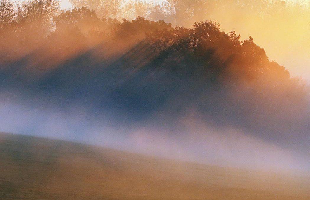 Nuevas líneas de atención